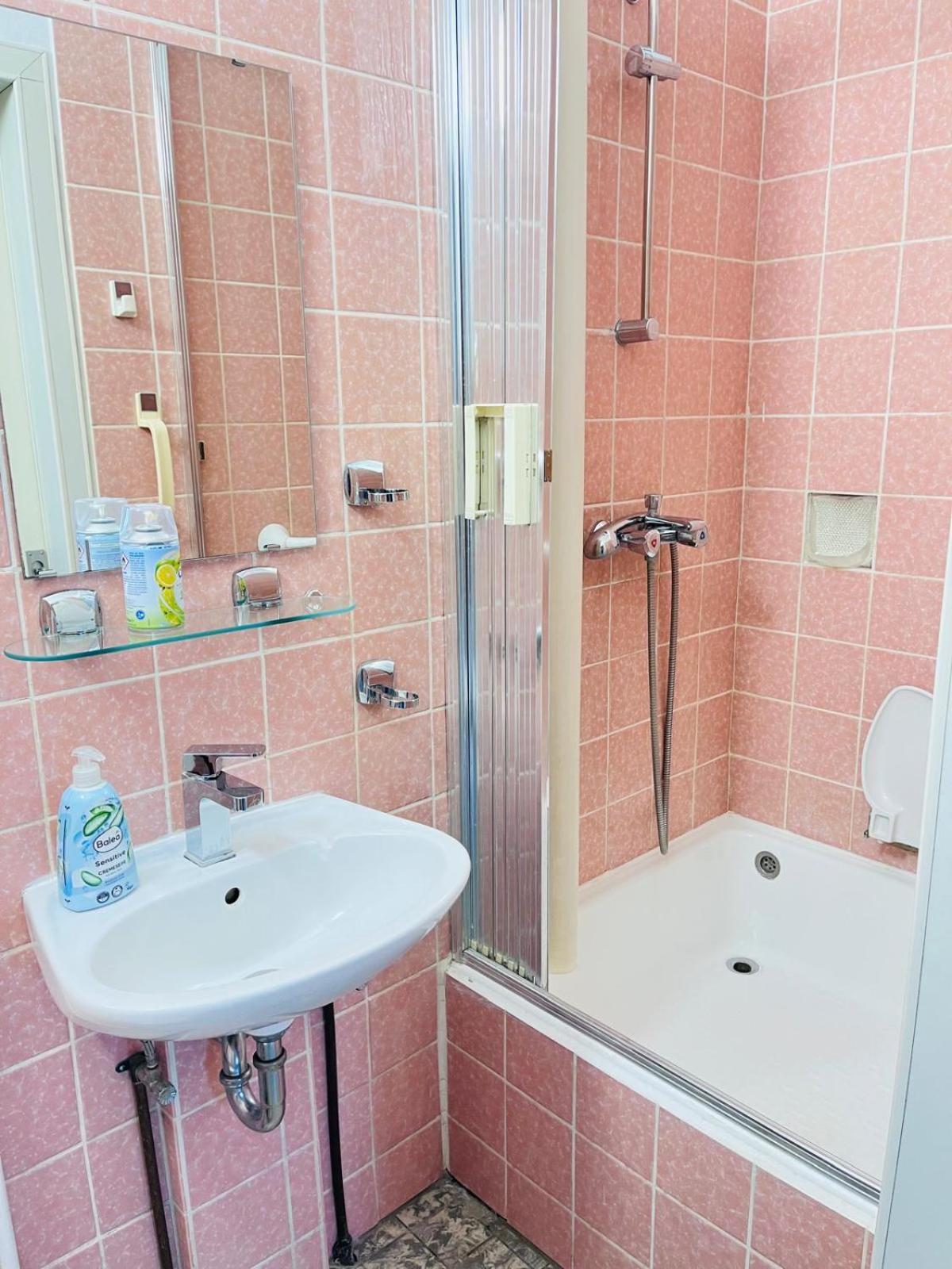 Appartement Monteurzimmer Leo 2 Wiesbaden